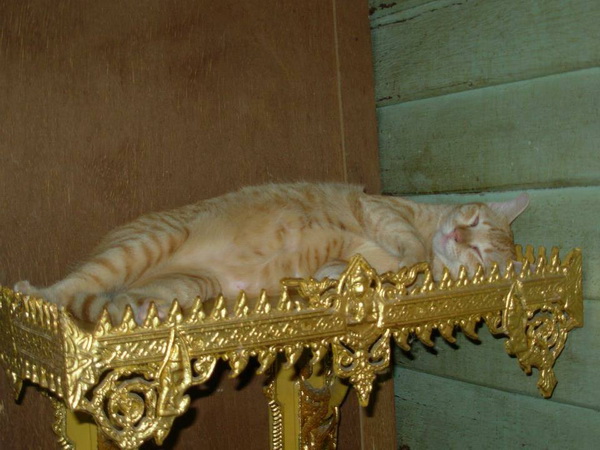 พระภูมิเจ้าที่.jpg