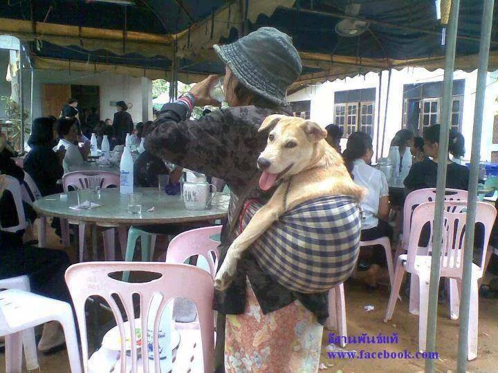 ไปใสก่ะไปนำเด้อ.jpg