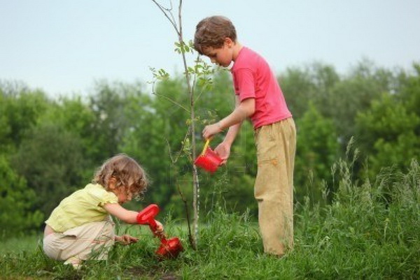7837753-kids-plant-the-tree.jpg