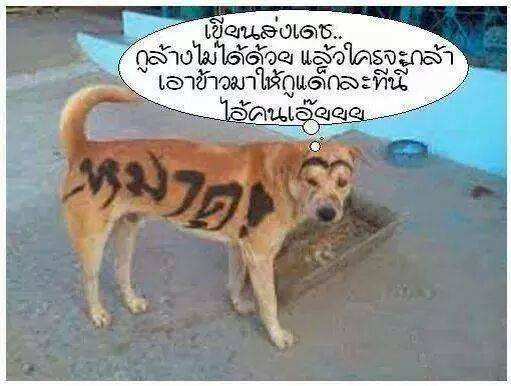 เซ็งเลย.jpg