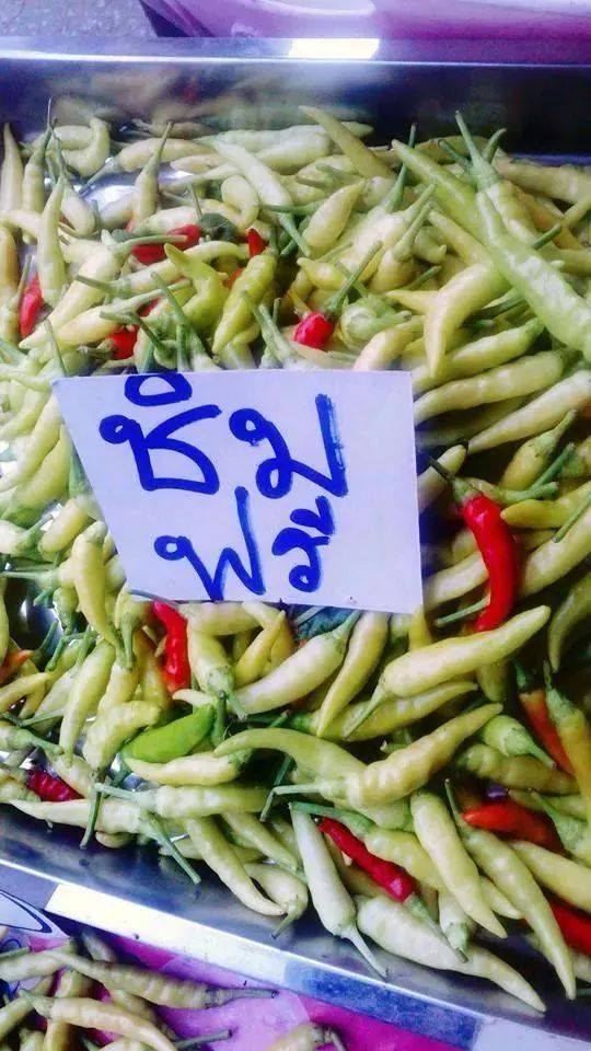 ชิมฟรี.jpg