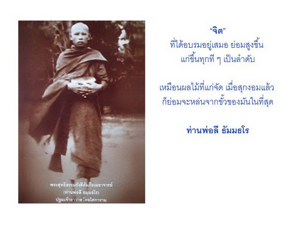 เรื่องจิต.jpg