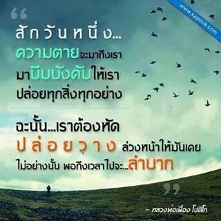 IMG_13528366333864.jpeg