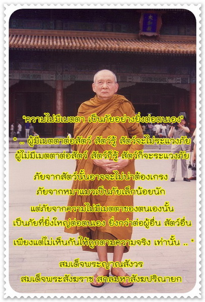 ความไม่เมตตา.jpg