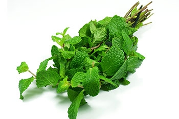 Kitchen-Mint-1.jpg