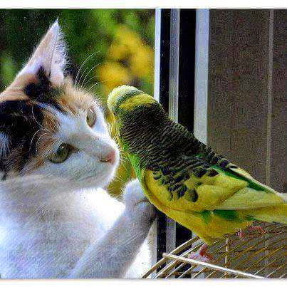 FB_IMG_1424682914448.jpg