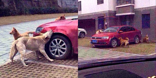 3.11-horz.jpg
