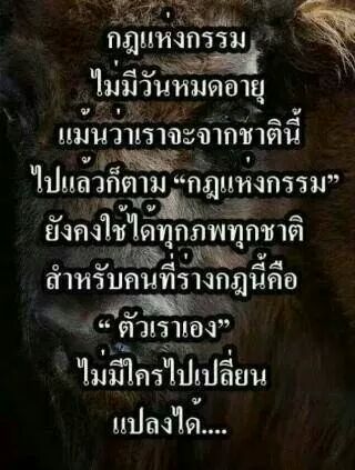 IMG_4631548921622.jpeg