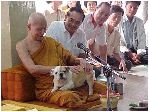 หลวงตามหาบัวฯ.jpg