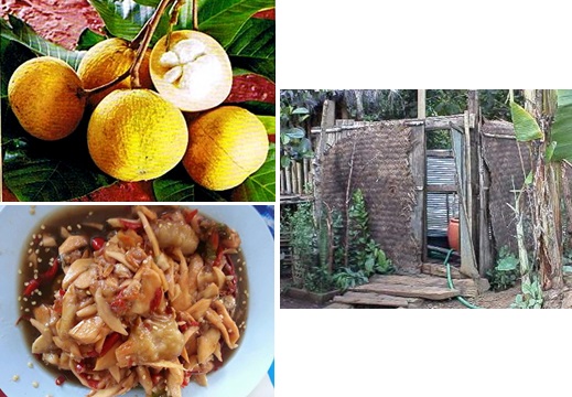 รูปภาพ