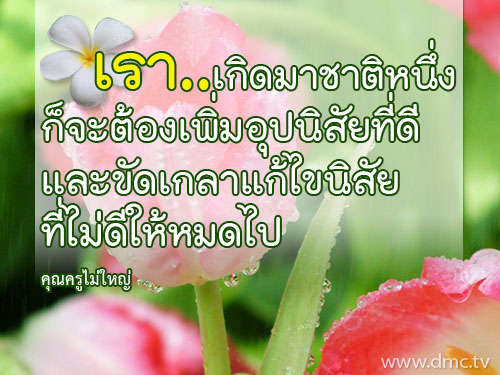 เกิดมาชาติหนึ่ง.jpg