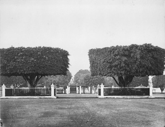 K12242318-4.jpg