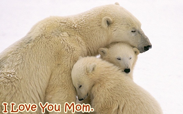 i-love-you-mom-248887.jpg