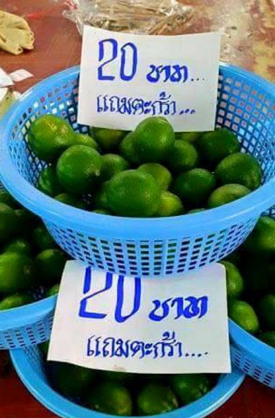 ตะกร้า.jpg