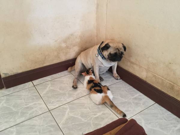 image.jpeg