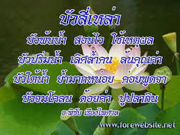 บัว 4 เหล่า.jpg