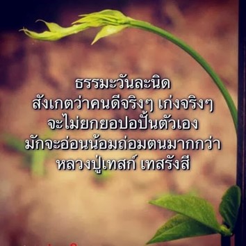 คนดีจริง.jpg