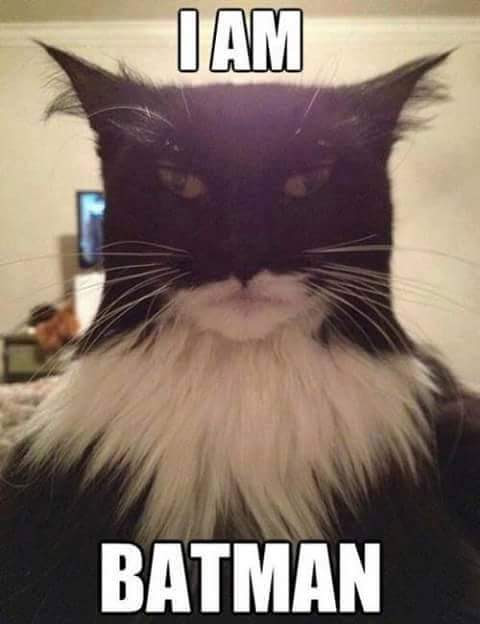 FB_IMG_1451226065904.jpg