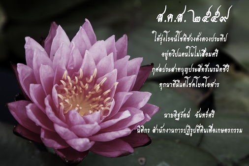 888.jpg