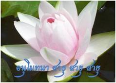 Lotus ธรรมจักร 13.jpg