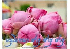 Lotus ธรรมจักร 20.jpg