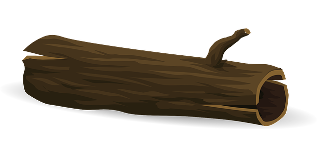 tree-576846_640.png