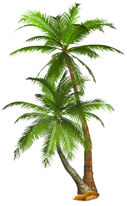 palm_tree_PNG2504.png