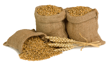 sacks-of-grain.png