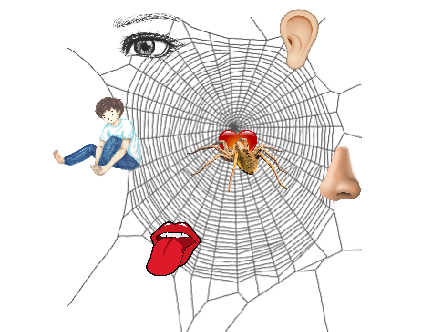 20170813_170149.png