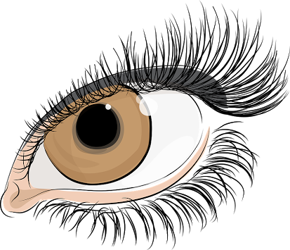 unnamed (37).png