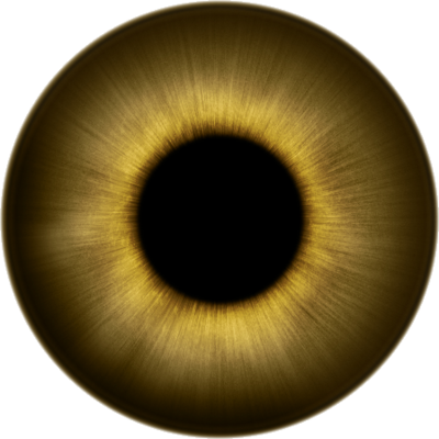 Human-Eye-psd107790.png
