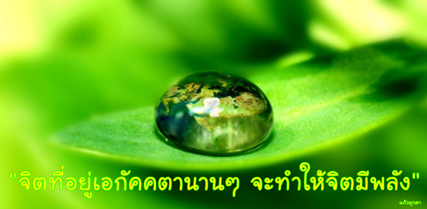 017เอกัคคตา17.01.61.png