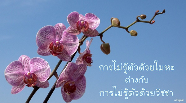 019การไม่รู้ตัว19.01.61.jpg