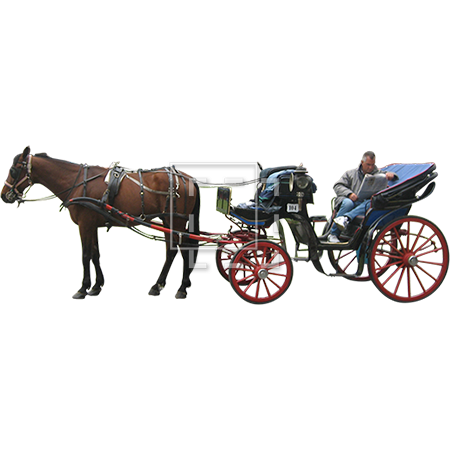 IE-horse-drawn-carriage-elevation.png