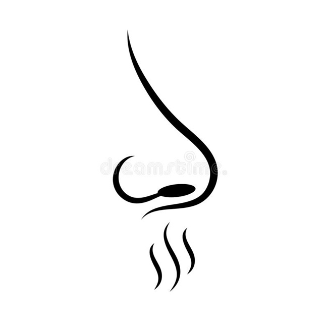 smell-sense-vector-icon-illustration-white-background-smell-sense-vector-icon-101721039 %281%29.jpg