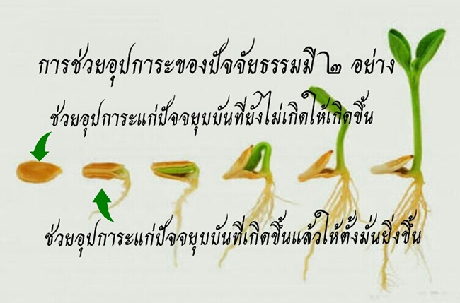 20180623_151639.jpg