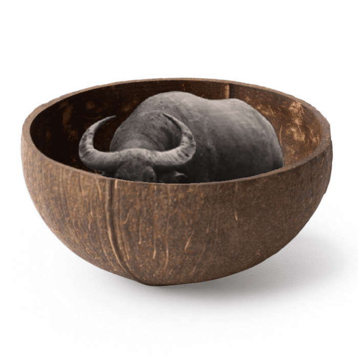 20180715_115242.png