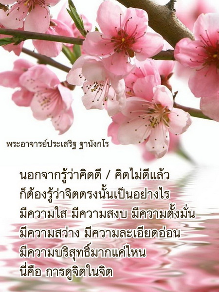 รูปธรรม ปี 2561_๑๘๑๐๐๒_0155_resize.jpg