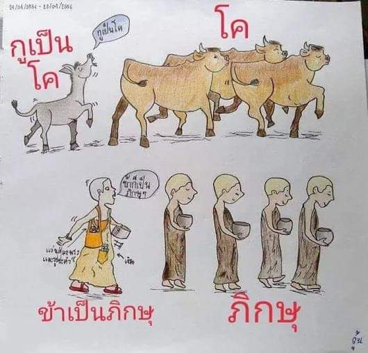 FB_IMG_1541631332906.jpg