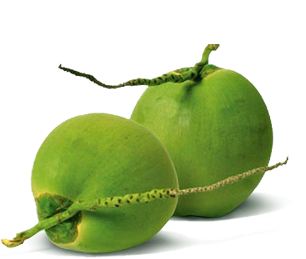 coconut-fruit.png