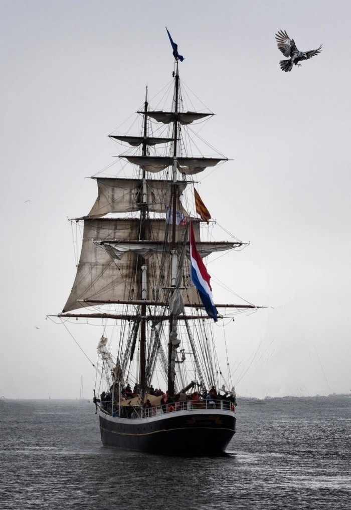 ship-8143169_1280 (1)~2.jpg