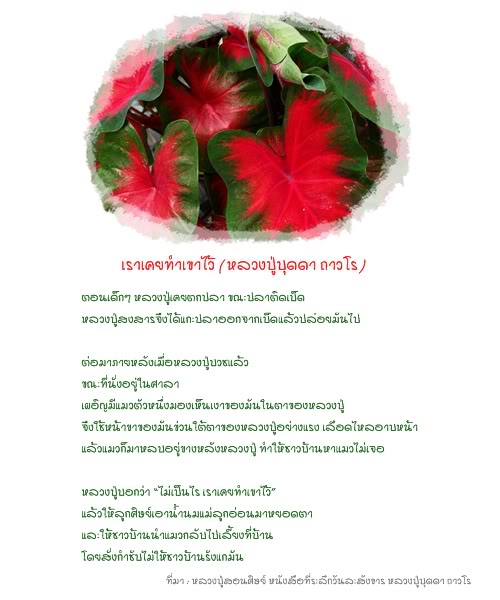 รูปภาพ