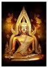 ชื่อภาพ : พระพุทธชินราช 1.jpg
ขนาดภาพ : 72KB
ขนาดภาพ : 380x535
วันที่เพิ่ม : พ.ค. 06, 2007 พระพุทธชินราช 1.jpg