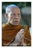 ชื่อภาพ : หลวงพ่อคำบ่อ ฐิตปัญโญ 3.jpg
ขนาดภาพ : 56KB
ขนาดภาพ : 390x563
วันที่เพิ่ม : เม.ย. 22, 2007 หลวงพ่อคำบ่อ ฐิตปัญโญ 3.jpg
