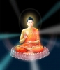 Buddha 1~0.jpg
