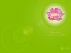 ชื่อภาพ : w_lotus_green.jpg
ขนาดภาพ : 191KB
ขนาดภาพ : 1024x768
วันที่เพิ่ม : พ.ค. 28, 2008 w_lotus_green.jpg